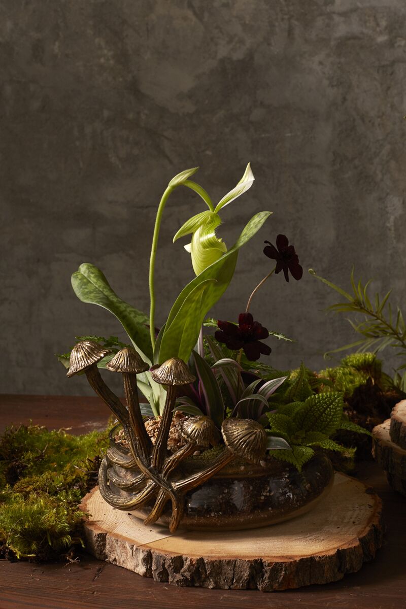 Lichen Planter