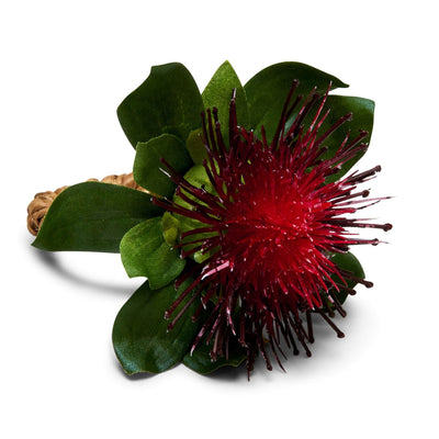 Pincushion Protea Napkin Ring - Set of 4