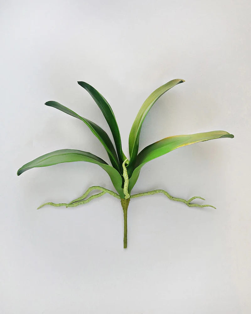 Faux Orchid Leaves - 12"