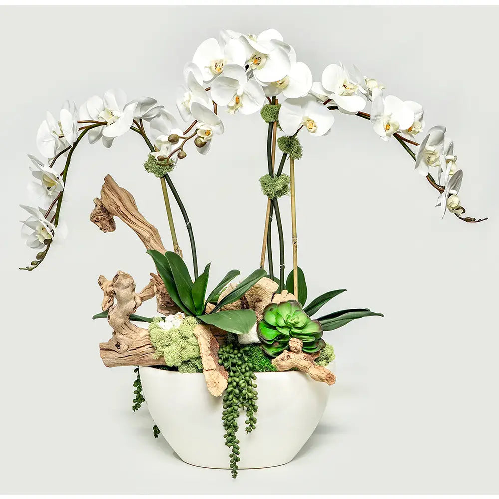 Double Orchids & Crystals in White Pot