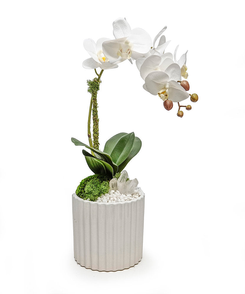 Orchids and Crystals Fluted Pot